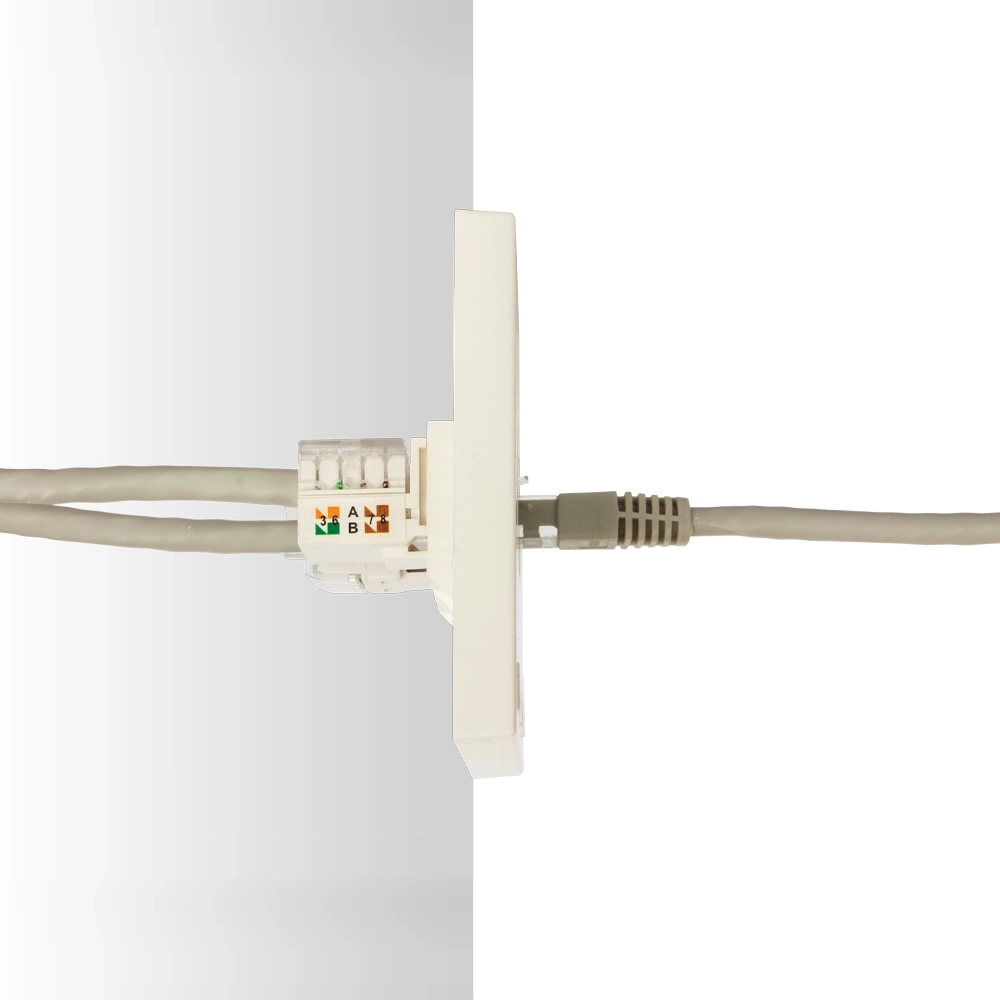 canovate-86x86-wandblende-2-port-modul image 3